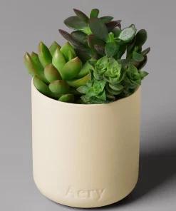 Home Accessories*AERY Fernweh Candle - Himalayan Cedarleaf