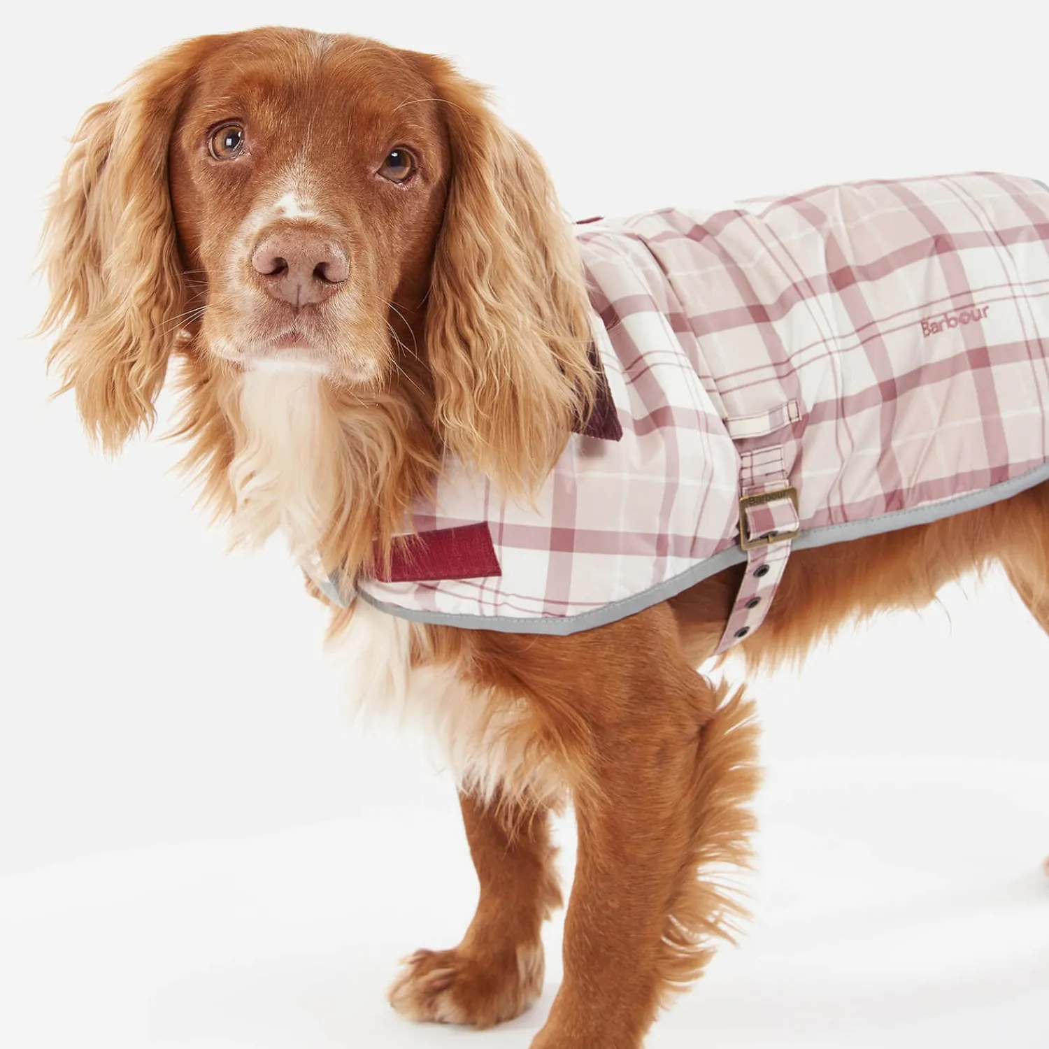 Home Accessories*Barbour Casual Wetherham Tartan Dog Coat