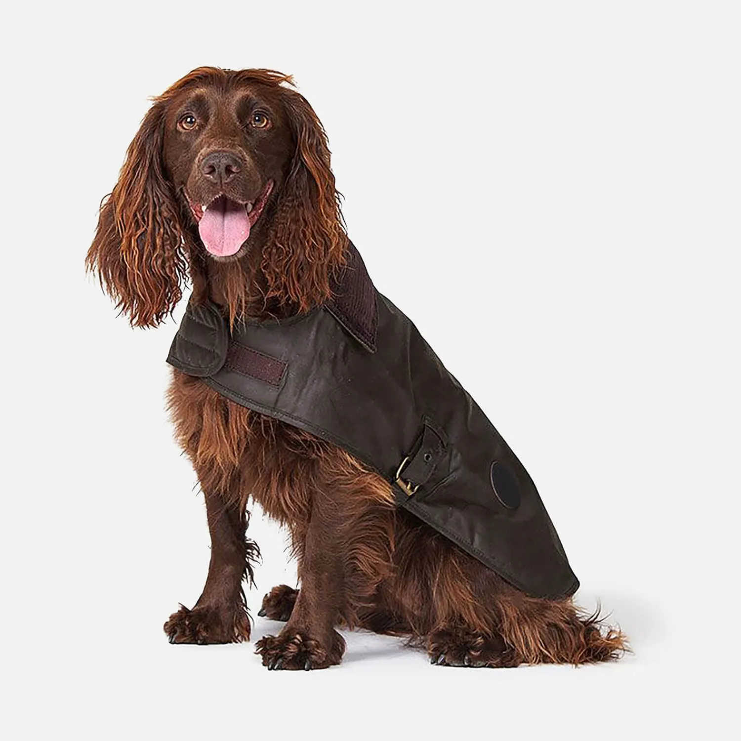 Home Accessories*Barbour Matt Wax Dog Coat - Olive