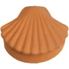 Home Accessories*Los Objetos Decorativos Seashell Box - Amber