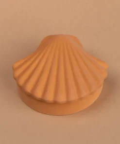 Home Accessories*Los Objetos Decorativos Seashell Box - Amber