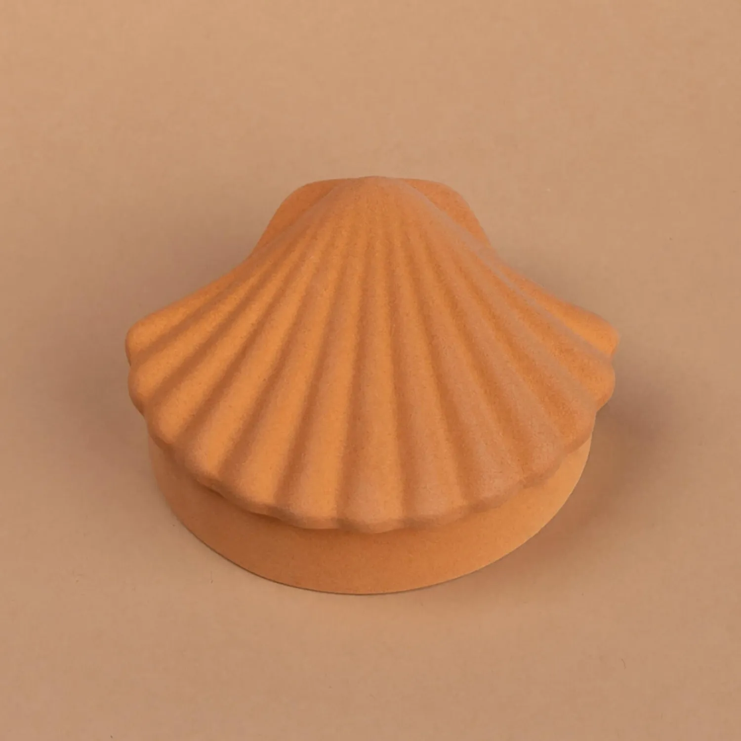 Home Accessories*Los Objetos Decorativos Seashell Box - Amber