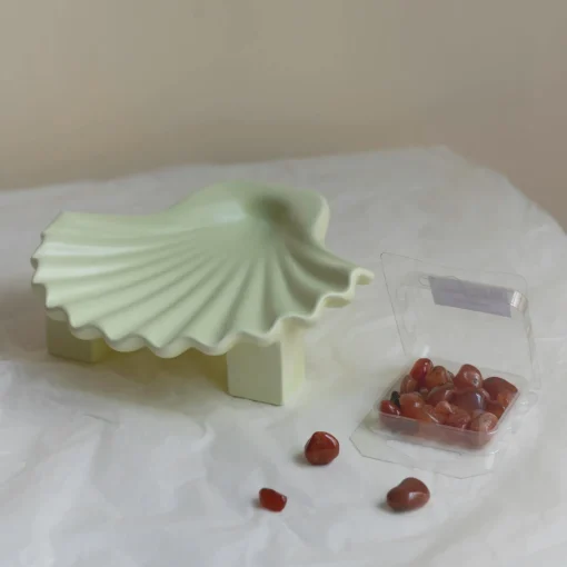 Home Accessories*Los Objetos Decorativos Seashell Plate - Lime
