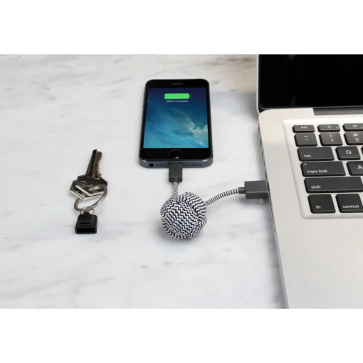 Tech Accessories*Native Union Night Cable - Zebra