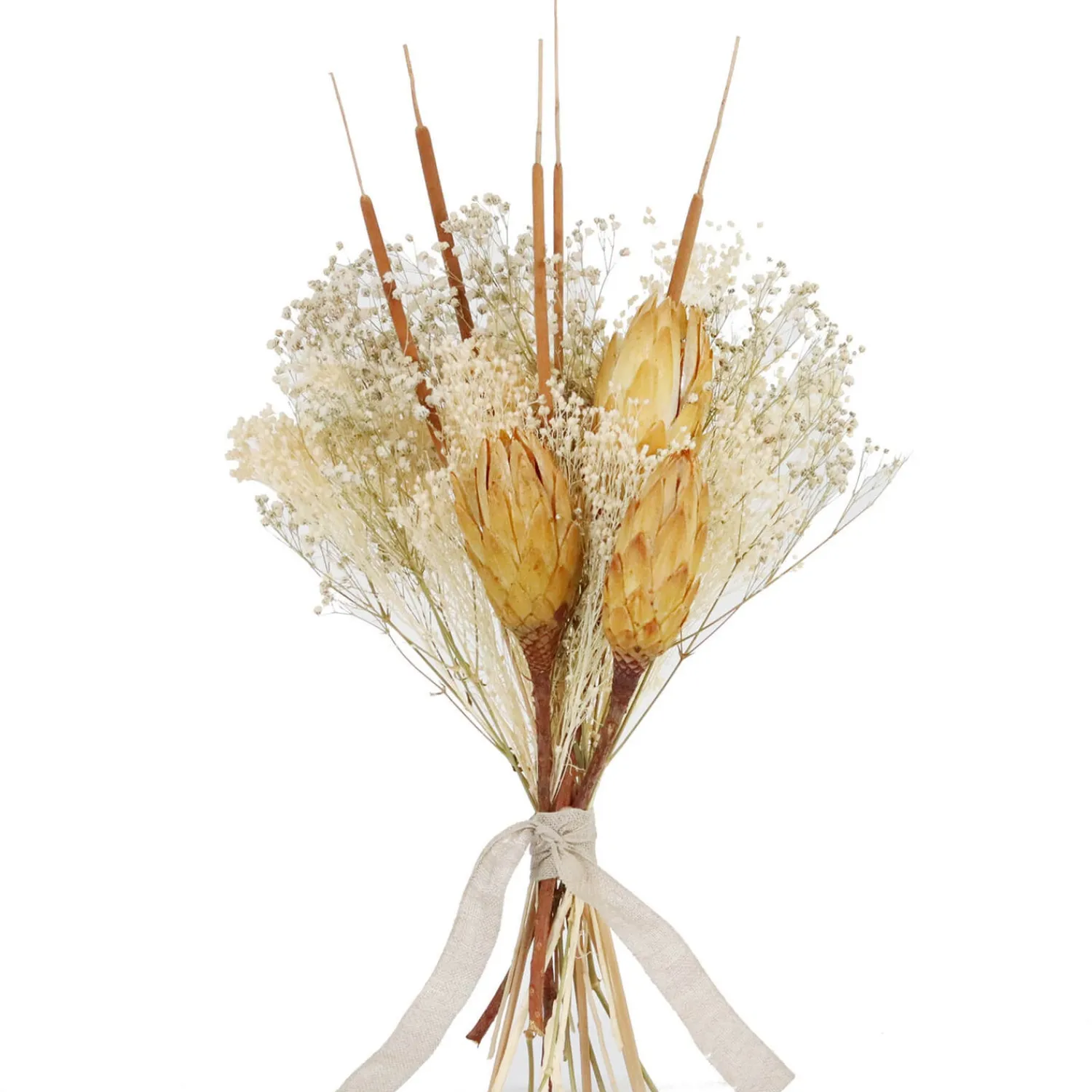 Home Accessories*Shida Preserved Flowers - Paola