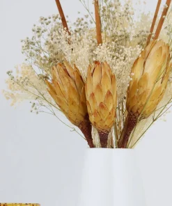 Home Accessories*Shida Preserved Flowers - Paola