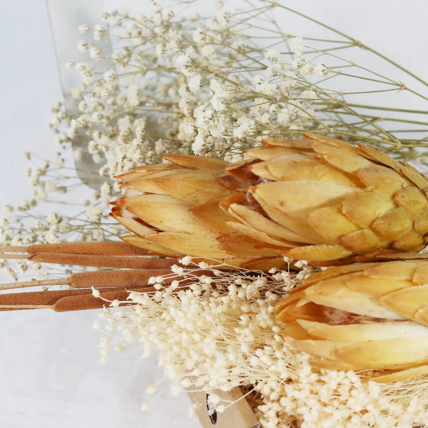 Home Accessories*Shida Preserved Flowers - Paola