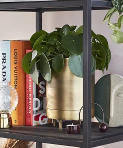 Home Accessories*Thames and Hudson Ltd : Louis Vuitton Catwalk - The Complete Fashion Collections